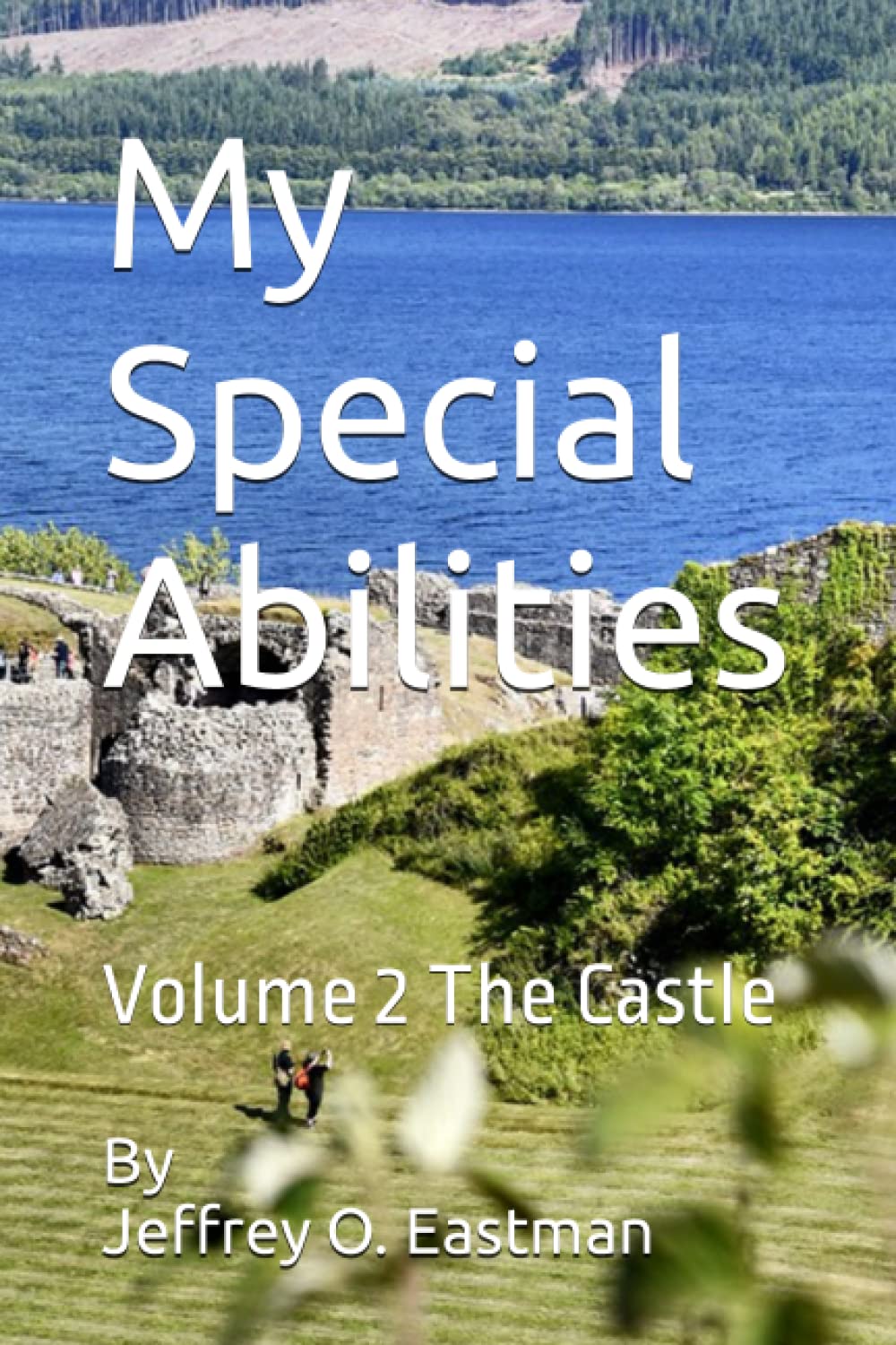 My Special Abilities: Volume 2 The Castle Book