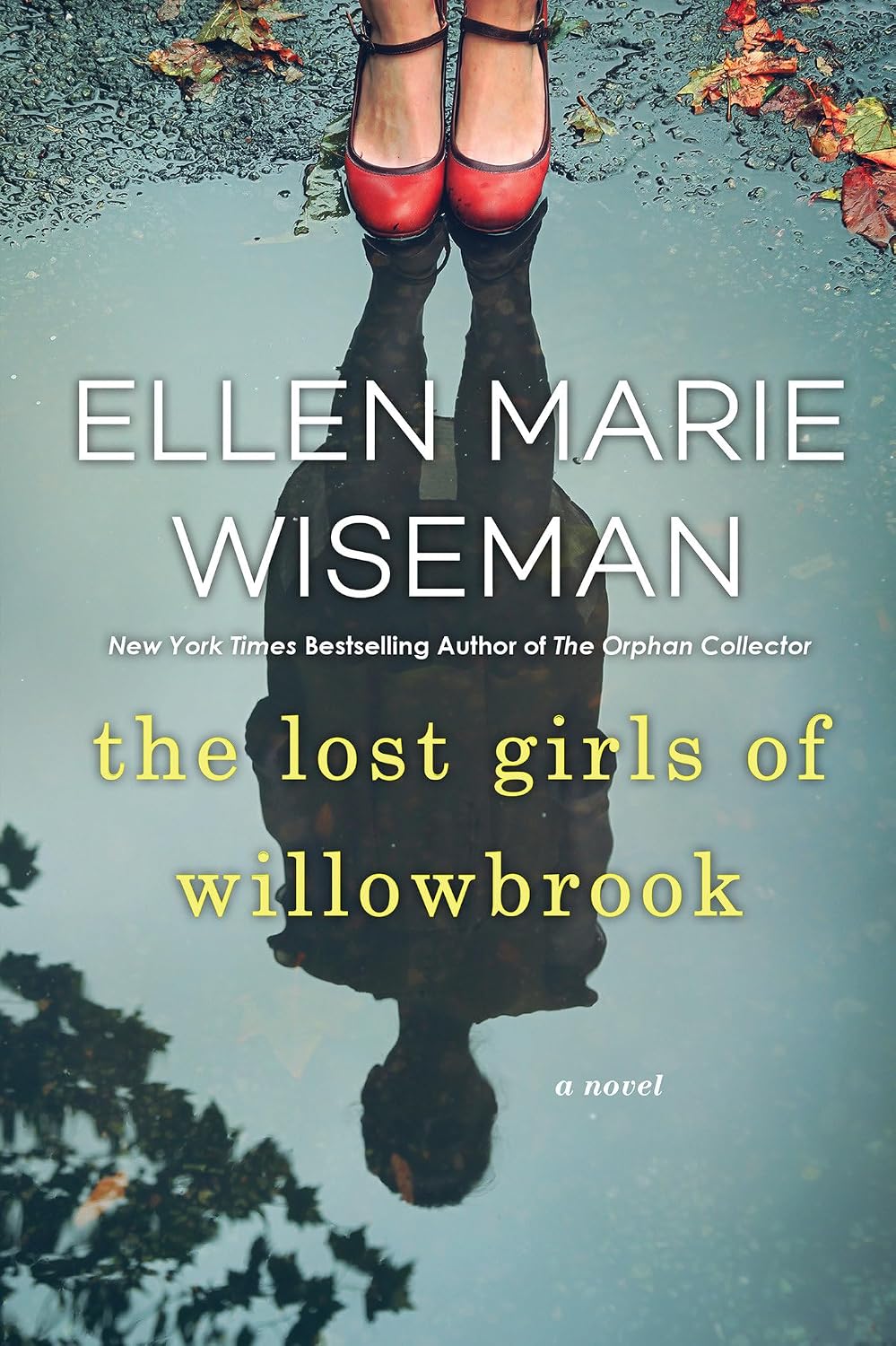 The Lost Girls of Willowbrook Book