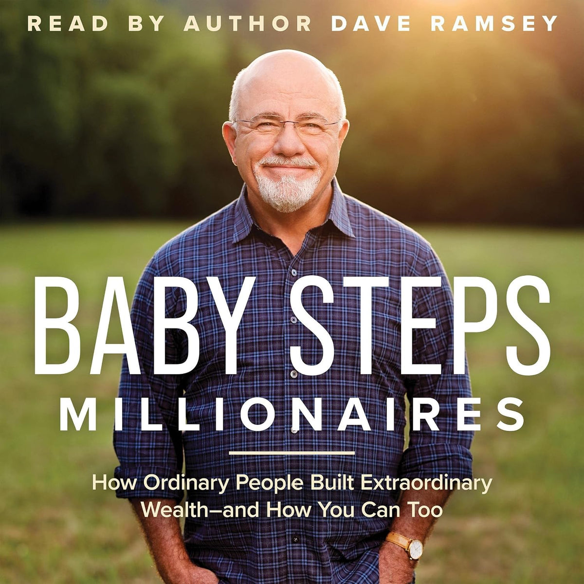 Baby Steps Millionaires Book