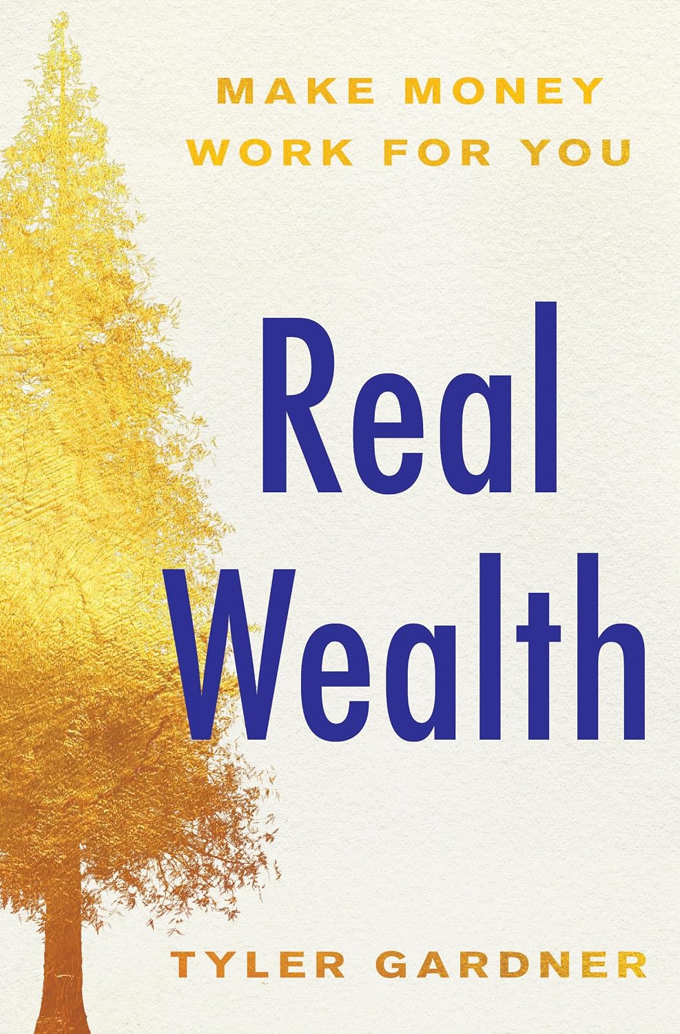 Real Wealth Make Money Work for You Book