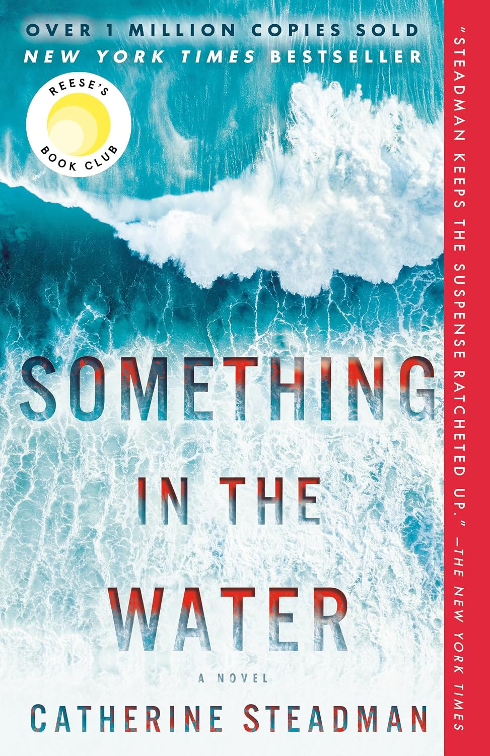 Something in the Water Book