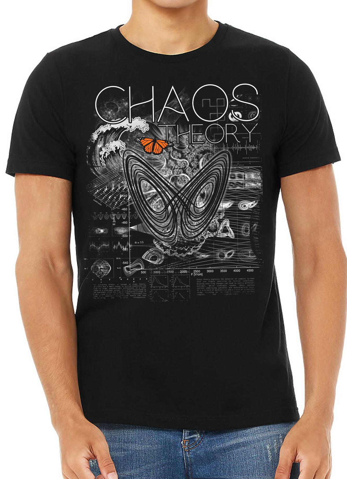 Chaos Theory