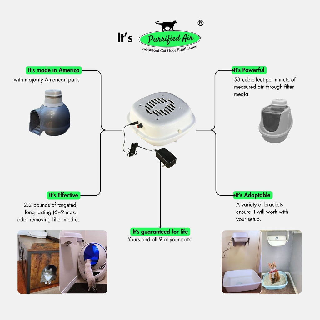 Litter Box Air Purifier, the Classic
